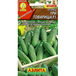 ТРИО