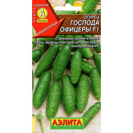 ГОСПОДА ОФИЦЕРЫ