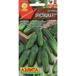 ХРУСТИШКА