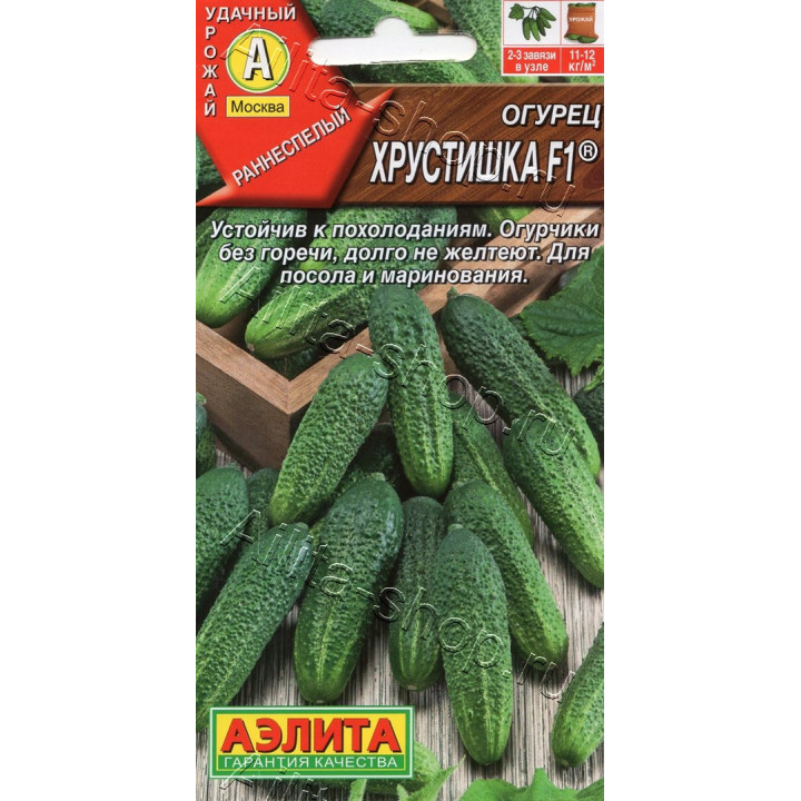 ХРУСТИШКА