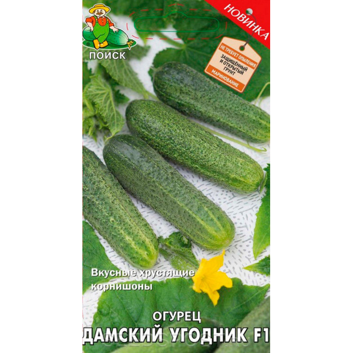 ДАМСКИЙ УГОДНИК