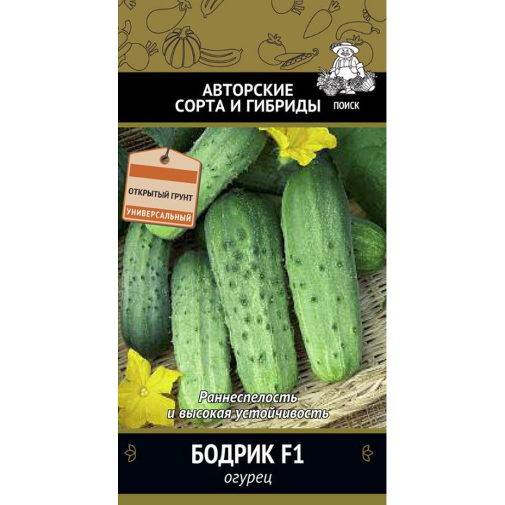 БОДРИК