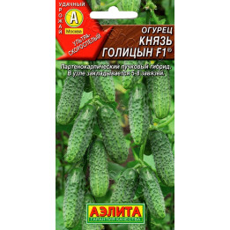 КНЯЗЬ ГОЛИЦЫН