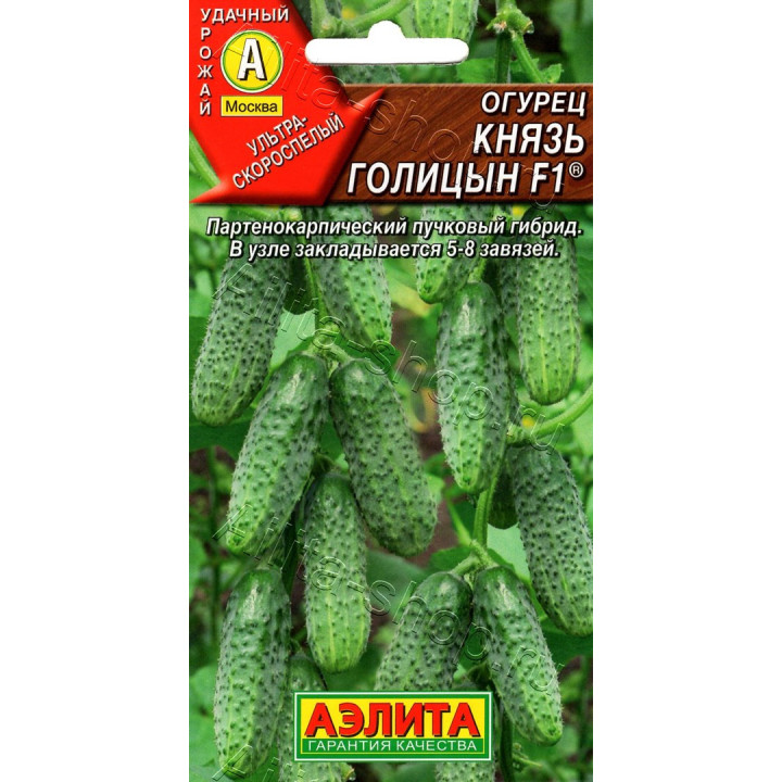 КНЯЗЬ ГОЛИЦЫН