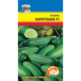 КАПИТОШКА