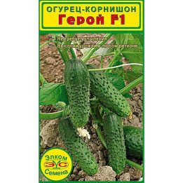 ГЕРОЙ