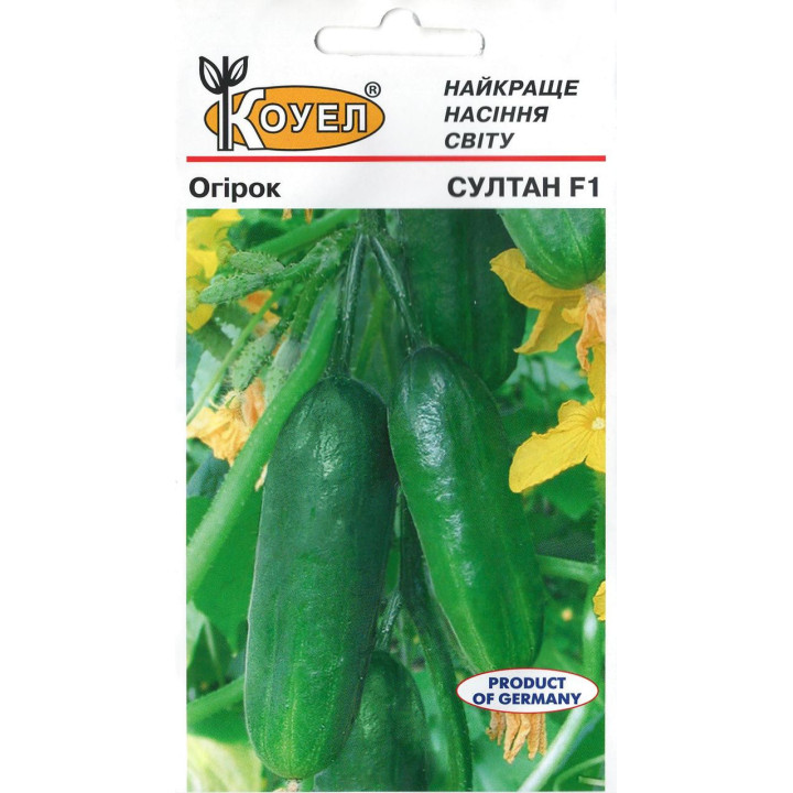 СУЛЕЙМАН