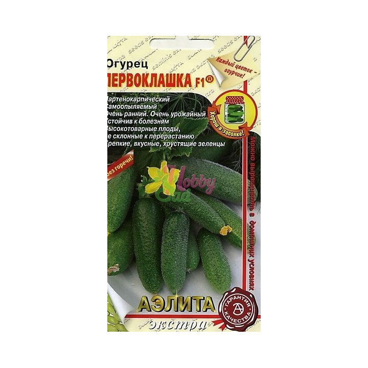 ПЕРВОКЛАШКА