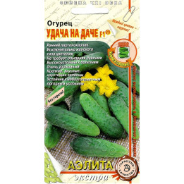 УДАЧА НА ДАЧЕ