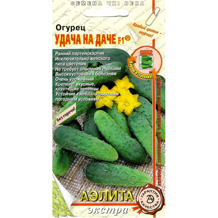 УДАЧА НА ДАЧЕ