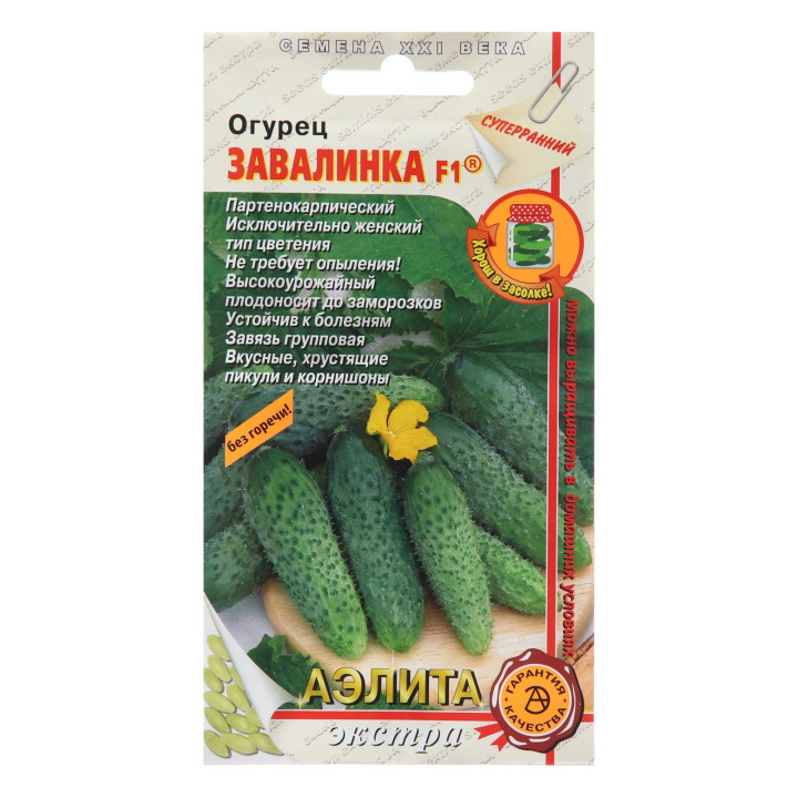 ЗАВАЛИНКА