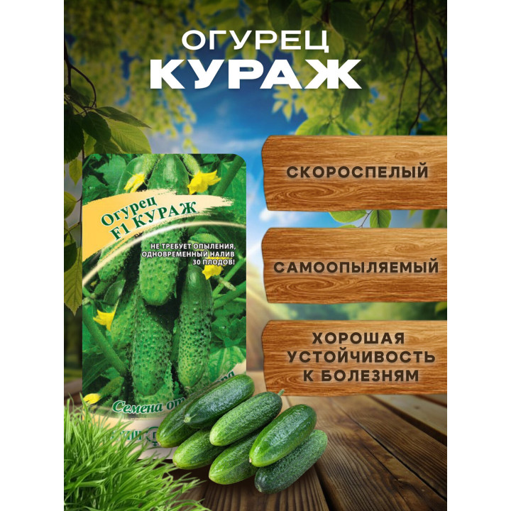 УМКА