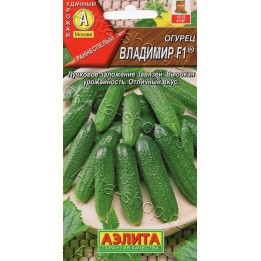 ВЛАДИМИР
