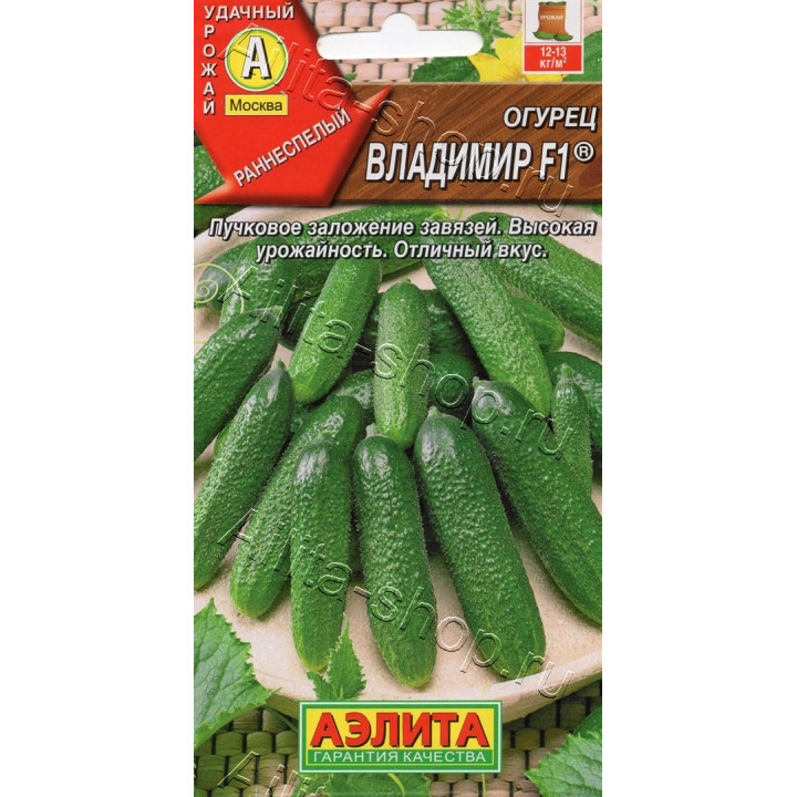 ВЛАДИМИР