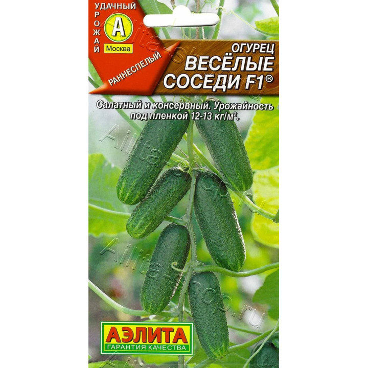 ВЕСЕЛЫЕ СОСЕДИ