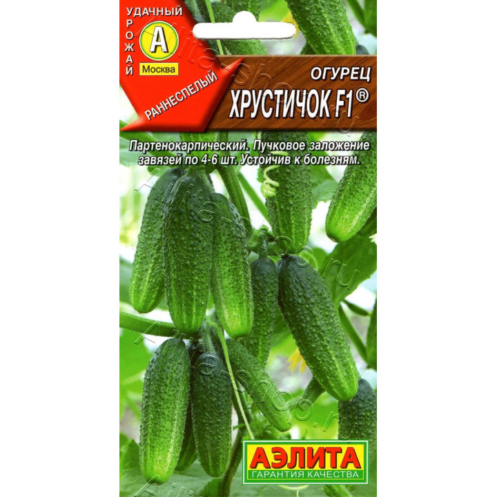 ХРУСТИЧОК