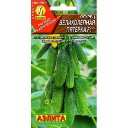 ВЕЛИКОЛЕПНАЯ ПЯТЕРКА