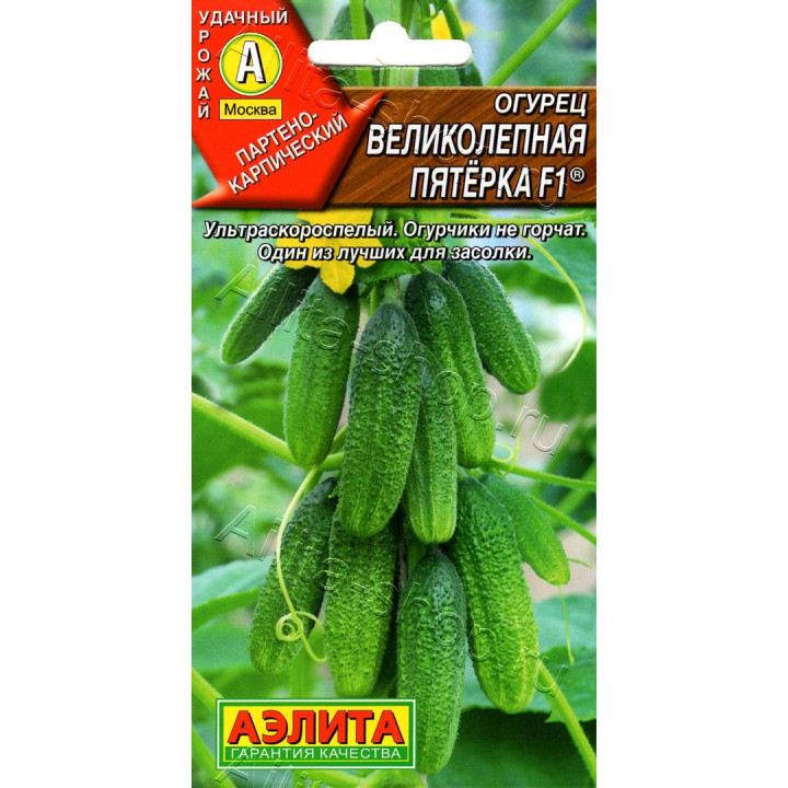 ВЕЛИКОЛЕПНАЯ ПЯТЕРКА
