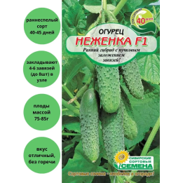 НЕЖЕНКА