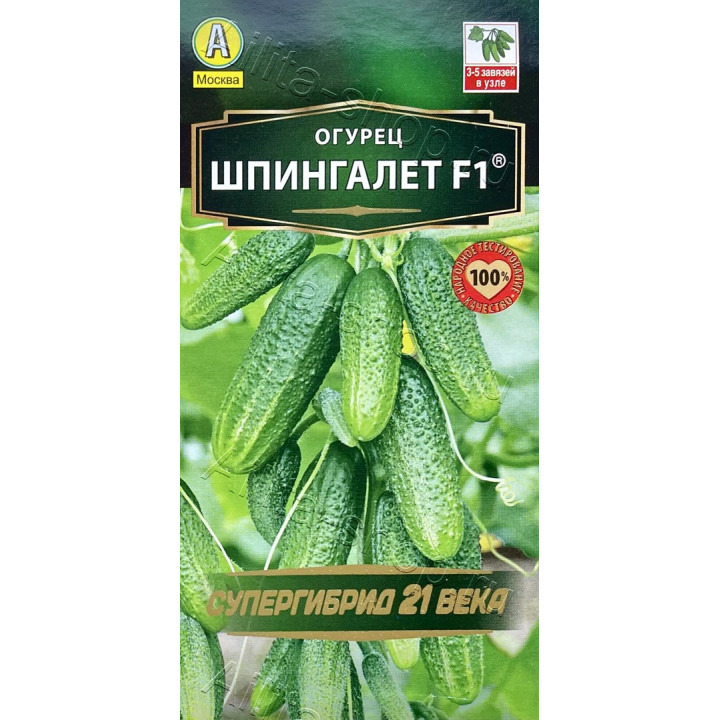 ШПИНГАЛЕТ