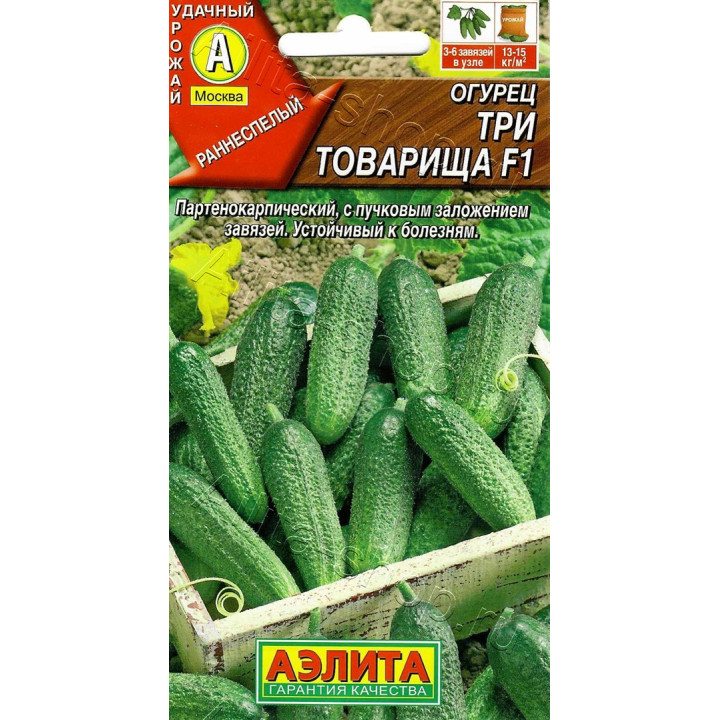 ТРИ ТОВАРИЩА