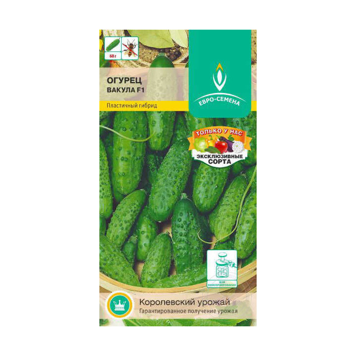 ВАКУЛА