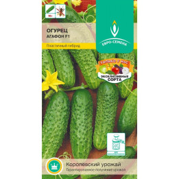 АГАФОН