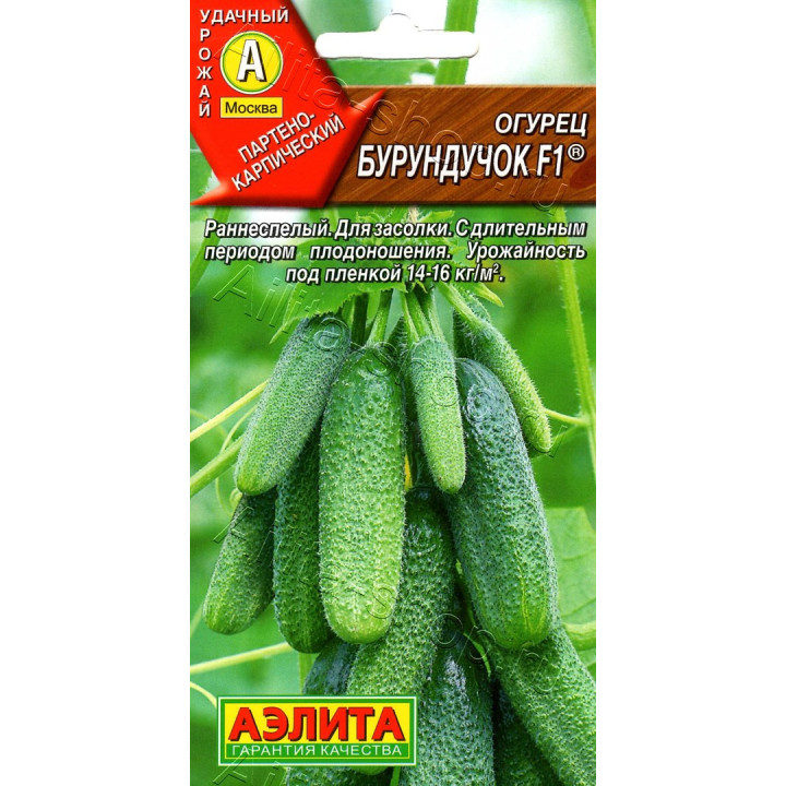 БУРУНДУЧОК