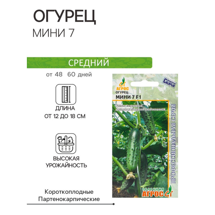 МИНИ 7