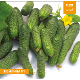 НЕЙЛИНА