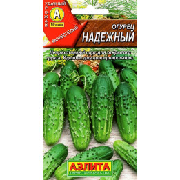 НАДЕЖНЫЙ