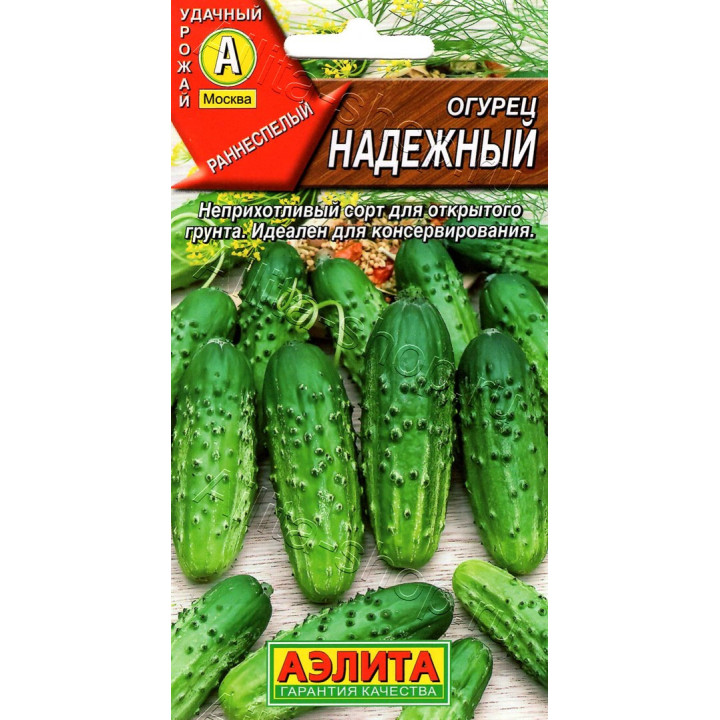 НАДЕЖНЫЙ