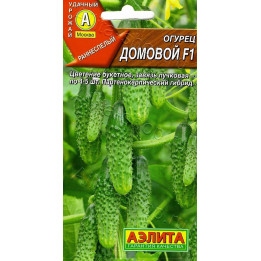 ДОМОВОЙ