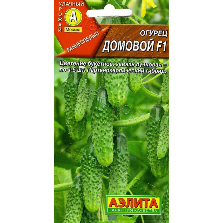 ДОМОВОЙ