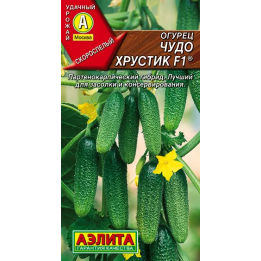 ХРУСТИК