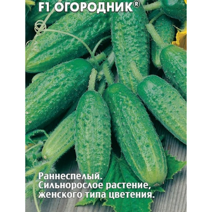 ОГОРОДНИК