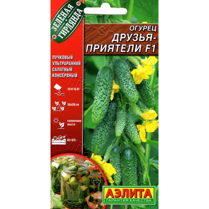 ДРУЗЬЯ-ПРИЯТЕЛИ