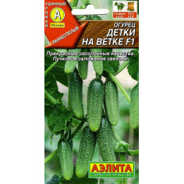 ДЕТКИ НА ВЕТКЕ