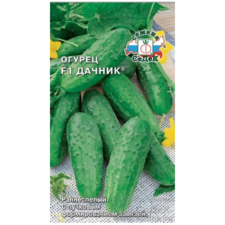 ДАЧНИК