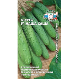 САША