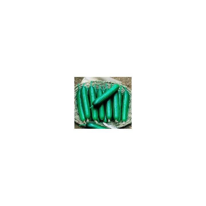 КИБЕЛЕ