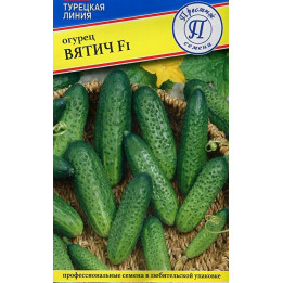 ВЯТИЧ