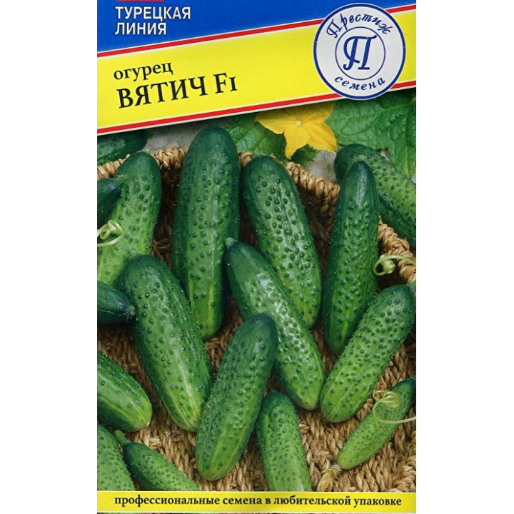 ВЯТИЧ