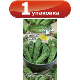 ВЕРНЫЙ ДРУЖОК