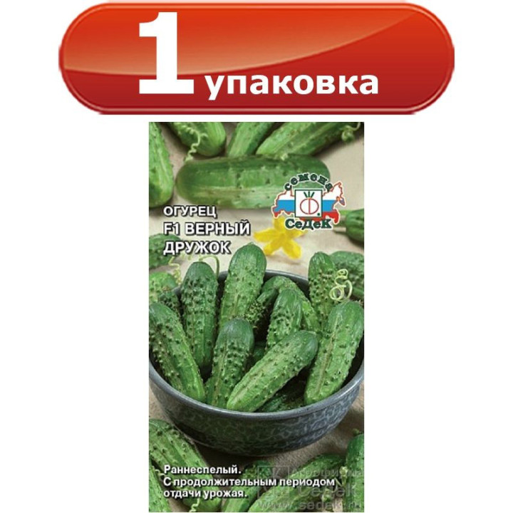ВЕРНЫЙ ДРУЖОК