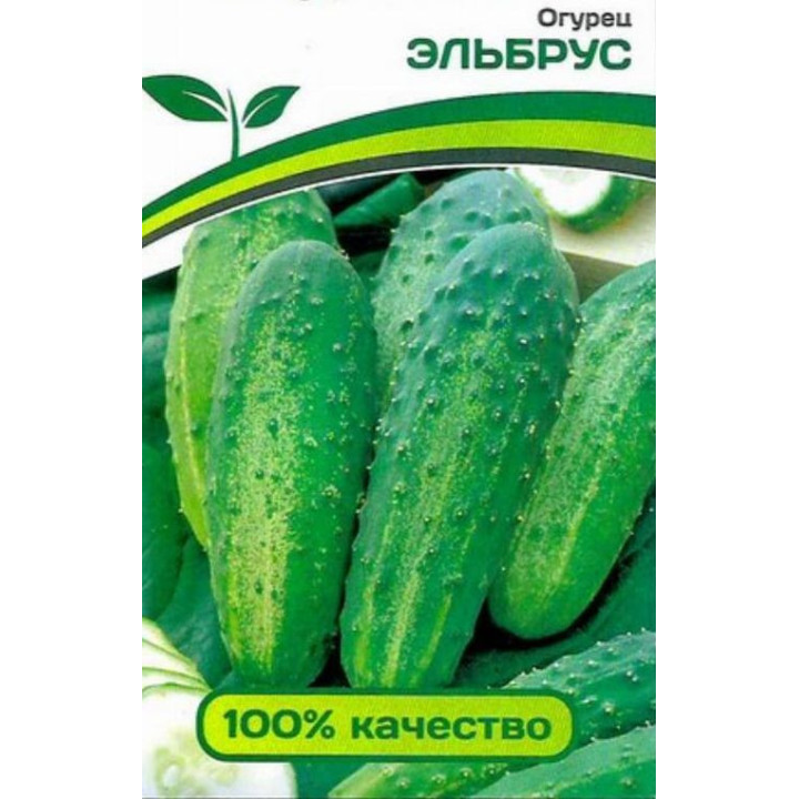 ЭЛЬБРУС