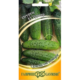 ТУРНИР