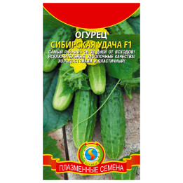 СИБИРСКАЯ УДАЧА