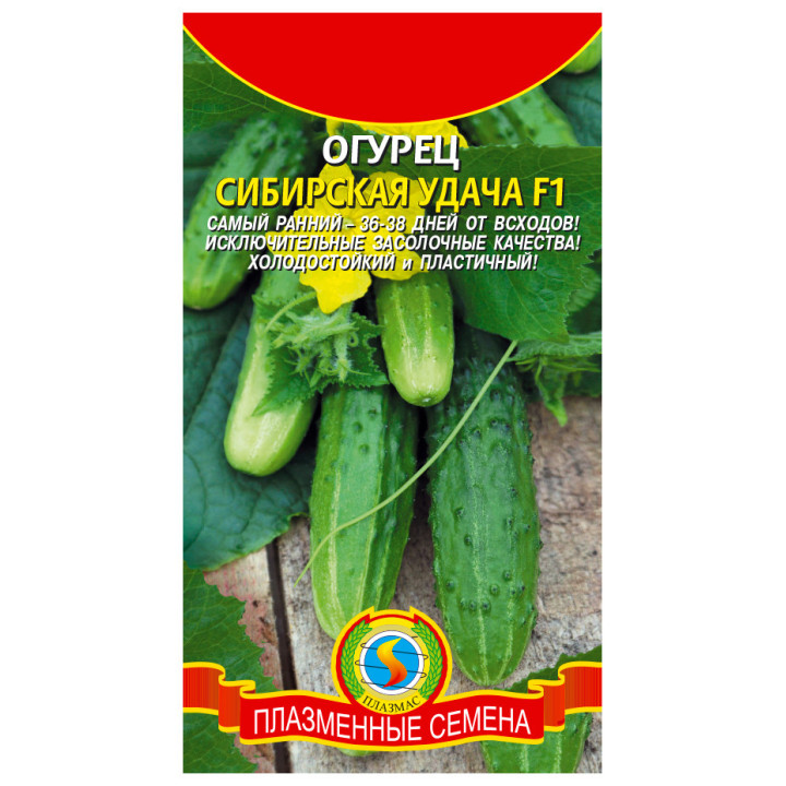 СИБИРСКАЯ УДАЧА