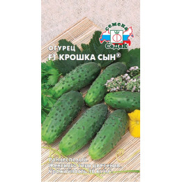 КРОШКА СЫН
